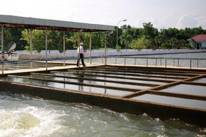 Vì sao Đà Nẵng thiếu nước? Vì sao Đà Nẵng thiếu nước?