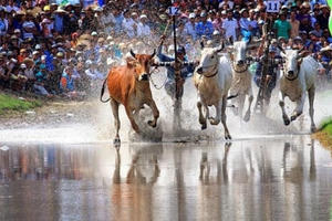 Nước tăng lực Number 1 và câu chuyện bảo tồn văn hóa truyền thống