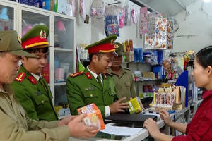 Trong 1 tháng, Công an tỉnh Ninh Bình khởi tố 30 đối tượng liên quan đến pháo nổ