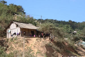 Nạn nhân 9X nghi tự tử bằng lá ngón ở Nghệ An Nạn nhân 9X nghi tự tử bằng lá ngón ở Nghệ An