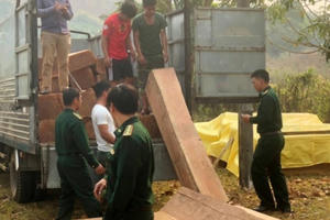 Kon Tum: Phát hiện nhiều bãi tập kết gỗ lậu khu vực biên giới