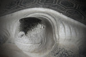 Cổ vật đặc biệt duy nhất của Hà Nội được vinh danh ở tầm thế giới