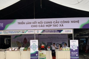 Cần Thơ: "Hướng tới thúc đẩy đổi mới công nghệ cho hợp tác xã"