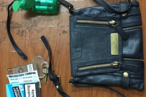 Trinh sát hình sự tóm gọn 2 đối tượng cướp giật tài sản của du khách nước ngoài