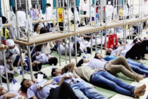 Năm 2018: Gần 3.000 người nhập viện vì ngộ độc thực phẩm, 16 người tử vong