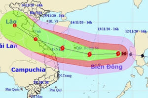 3 kịch bản di chuyển bão số 13
