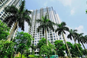 Làn sóng Bắc tiến của loạt đại gia bất động sản phía Nam