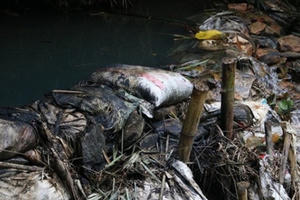 Nữ giám đốc thuê nhóm đối tượng “đầu độc” nguồn nước sạch sông Đà là ai?