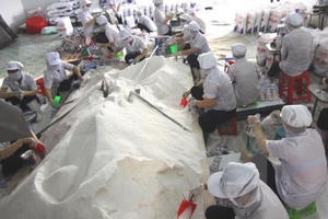 Khuyến khích các tổ chức, hộ gia đình, cá nhân xuất khẩu muối đúng tiêu chuẩn Khuyến khích các tổ chức, hộ gia đình, cá nhân xuất khẩu muối đúng tiêu chuẩn