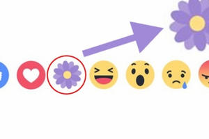 Chào mừng Ngày của mẹ Facebook có thêm nút "Biết ơn"