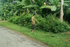 Phú Thọ: Đánh người gây thương tích 36% nhưng lại được hưởng án treo