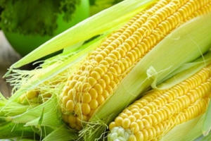 Tác hại của ngô và những người nào không nên ăn ngô?