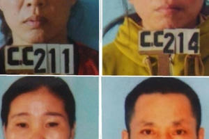 Chỉ vì mâu thuẫn chăn thả trâu bò, vác dao chặt gần 1.000 gốc keo Chỉ vì mâu thuẫn chăn thả trâu bò, vác dao chặt gần 1.000 gốc keo