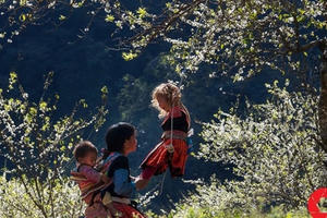 Giải ảnh 'Khoảnh khắc báo chí 2019' dành cho các phóng viên