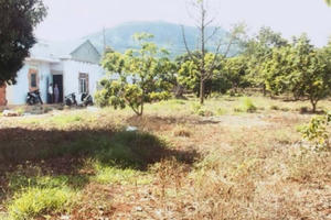 Lâm Đồng: Khuất tất quá trình xử lý nghi án chiếm nhà từ đường