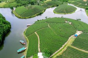 Về nơi non xanh nước biếc xứ Nghệ