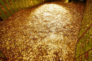 Giá vàng hôm nay 22/5: Vàng lao dốc không phanh, USD lên đỉnh mới