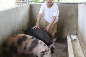 Đầu tư 500 triệu đồng cho khu giết mổ an toàn thực phẩm tại huyện nhỏ