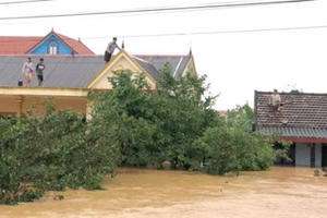 Tập trung ứng phó bão số 8 và cứu trợ khẩn cấp người dân vùng ngập lũ