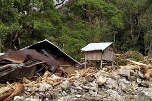 Khắc phục rừng thiệt hại do thiên tai gây ra