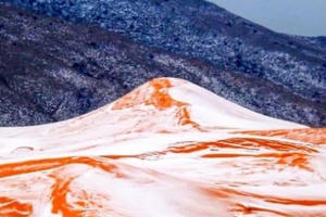 Ngỡ ngàng cảnh tuyết rơi phủ trắng sa mạc Sahara