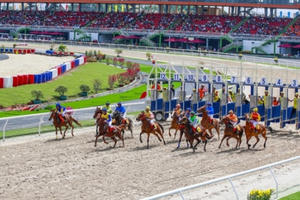 Hà Nội sẽ có hoạt động kinh doanh đặt cược đua ngựa