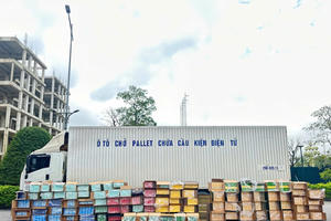 Phát hiện đường dây vận chuyển thuốc lá nhập lậu với số lượng lớn tại Quảng Trị