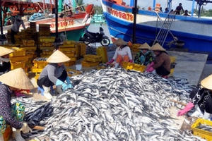 Đầu tư dự án hàng trăm tỉ từ khoản tiền bồi thường của Công ty Formosa