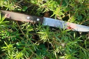 Điều tra nguyên nhân cô gái 18 tuổi bị đâm chết khi đi mua thuốc