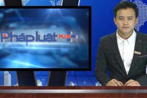 Bản tin Thời sự Plus ngày 4/4/2016