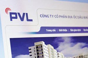 Cổ đông Địa ốc dầu khí đòi bãi miễn hội đồng quản trị