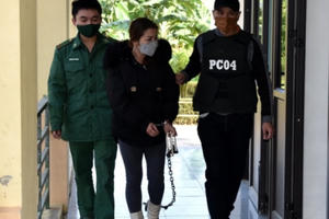 Người phụ nữ vận chuyển 10 bánh heroin với tiền công 50 triệu đồng