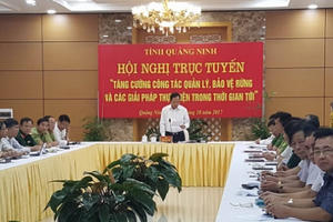 Quảng Ninh: Hội nghị trực tuyến tăng cường công tác quản lý bảo vệ rừng