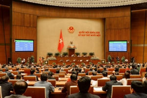 Nữ Phó Chánh Văn phòng Trung ương Đảng được đề cử làm Phó Chủ tịch nước