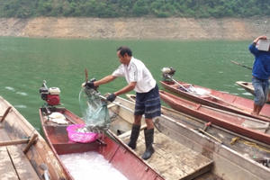 Nghệ An: Cuộc sống “khổ sở” của người dân tái định cư Thủy điện Bản Vẽ