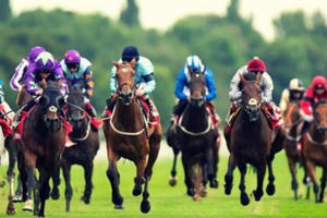 Slide - Điểm tin thị trường: Trường đua ngựa đầu tiên tại Thủ đô dự kiến hoạt động từ năm 2020