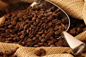 Thu hút đầu tư vào nông nghiệp: “Kích hoạt” các dự án PPP thế hệ mới