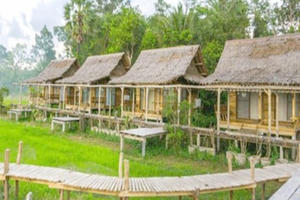 Cần quản lý chặt mô hình du lịch nông trại nghỉ dưỡng