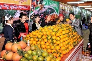 Tuyên Quang: Gấp rút chuẩn bị tổ chức Hội chợ cam sành huyện Hàm Yên năm 2020 Tuyên Quang: Gấp rút chuẩn bị tổ chức Hội chợ cam sành huyện Hàm Yên năm 2020