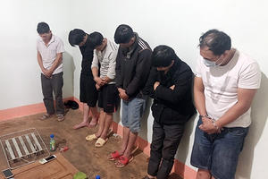 7 đối tượng thuê nhà để hành nghề trộm chó