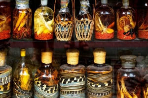 'Thần chết' rình rập quanh bình rượu ngâm