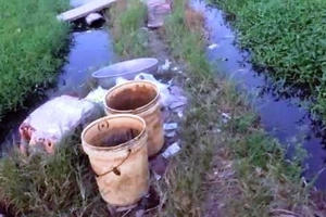 4 yếu tố giúp phân biệt rau bẩn