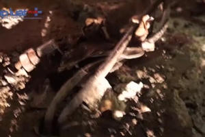 Xe tải mất lái tông đổ cột đèn tín hiệu, cửa hàng nội thất bị "vạ lây"