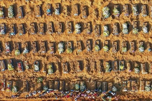 Thành phố Brazil “như phim kinh dị” vì Covid-19