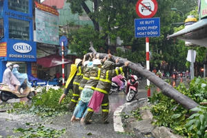 Bão số 7 đã đi vào Vịnh Bắc Bộ, sức gió giật cấp 11