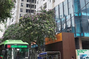 Bất cập làm bãi đỗ xe trong công viên: Tốn kém, lãng phí Bất cập làm bãi đỗ xe trong công viên: Tốn kém, lãng phí