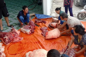 Cả xóm mổ lợn làm ruốc bông, xúc xích gửi ra “tâm dịch” Bắc Giang