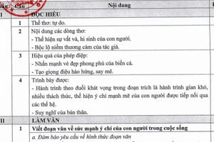 Bộ GD-ĐT công bố đáp án chính thức môn thi Ngữ Văn THPT quốc gia năm 2019