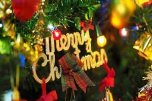 Những câu chuyện nhuốm màu huyền bí về cây thông Noel