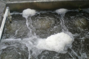 Xử lý Nitơ, phốt pho vấn đề cấp bách trong xử lý môi trường